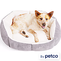 EveryYay Lavender Orthopedic Dog Bed
