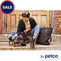 Reddy Step In Small Dog Harness