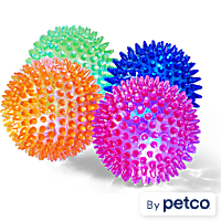 Leaps & Bounds LED Light-Up Spiny Ball Toy for Dogs in Various Colors