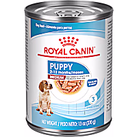 Royal Canin Size Health Nutrition Medium Puppy Thin Slices in Gravy Dog Food