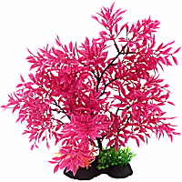 Penn Plax Pink Bonsai 11"-12" Plant