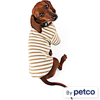 Reddy Stripe Tee for Dogs