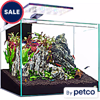 Imagitarium Glass Shrimp & Aquatic Plants Aquarium