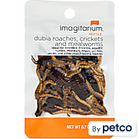 Imagitarium Insect Variety Pack