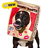 Petco Kissing Booth Pet Costume Headpiece
