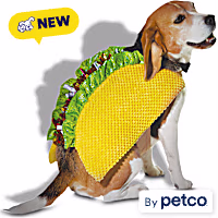 Petco Taco Dog Halloween Costume