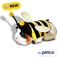 Petco Bumblebee Small Animal Halloween Costume
