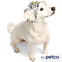 YOULY Pop Art Smiley Pet Bucket Hat