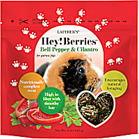 Lafeber's Hey!Berries Bell Pepper & Cilantro Treats for Guinea Pigs