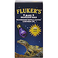 Fluker's Black Nightlight Bulb