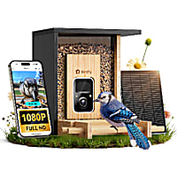 Birdfy Black Bamboo Smart Bird Feeder with Camera Solar Powered
