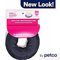 Well & Good Soft-Filled Recovery Collar for Kittens