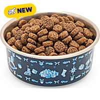 Petco Rocking Horse Pattern Pet Bowl