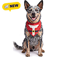 Petco Holiday Santa Dog Bandana