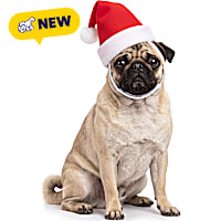 Petco Holiday Pet Santa Hat