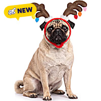 Petco Holiday Antler Pet Costume Headband