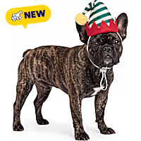 Petco Holiday Elf Pet Costume Hat