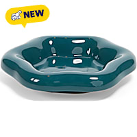 Petco Teal Ceramic Cat Dish