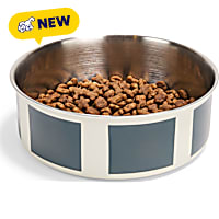 Petco Teal Striped Stainless Steel Pet Bowl