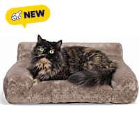 Petco Tan Couch Rectangle Cat Bed