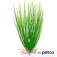 Imagitarium Green Hairgrass Plastic Aquarium Plant