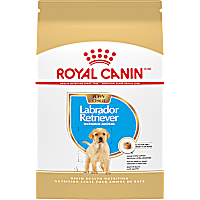 Royal Canin Breed Health Nutrition Labrador Retriever Puppy Dry Dog Food