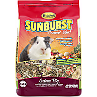 Higgins Sunburst Gourmet Guinea Pig Food Mix