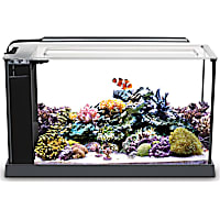 Fluval 5 Gallon EVO V Marine Aquarium Kit