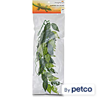Imagitarium Hanging Silk Plant