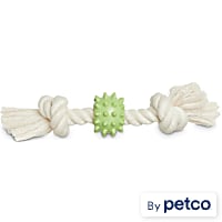 Leaps & Bounds Rope & Rubber-like material Dog Tug Toy in Various Styles
