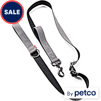 Reddy Shock Absorbent Big Dog Leash