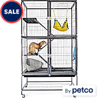 EveryYay Feisty Ferret Home