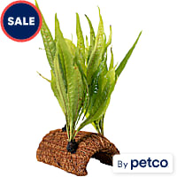 Halftube with Coco and Plant