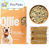 Ollie Fresh Pork Dish with Apples Fresh Frozen Dog Food