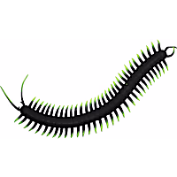 Playology Centipede Cat Toy