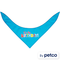 YOULY Birthday Dog Bandana