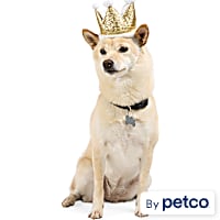 YOULY Birthday Crown Pet Hat