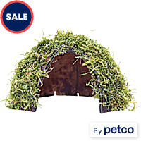 Coco Hide w/ Java Moss