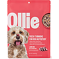 Ollie Fresh Lamb Dish with Cranberries Dog Food