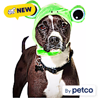 Petco Frog Pet Costume Headpiece