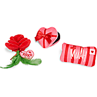 YOULY Valentine's Day Catnip Gift Set