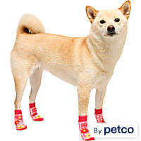 YOULY Gingham Flower Dog Socks