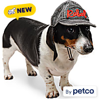 Reddy Rebel Embroidered Pet Hat