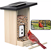 Birdfy Ebony Solar Powered Smart Bird Feeder with Camera