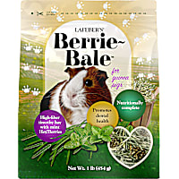 Lafeber's Mint Berrie-Bale for Guinea Pigs
