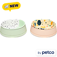 EveryYay Assorted Silicone Base with Stainless Steel Insert Cat Bowl