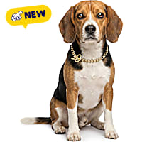 Petco Chain Training Dog Collar