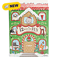 Petco Holiday 12 Days of Fun Cat Toy Advent Calendar