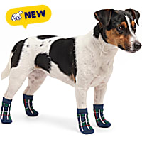 Petco Holiday Navy Plaid Pet Socks