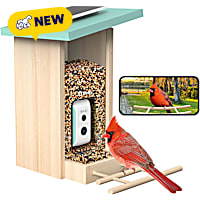 Birdfy Smart Bird Feeder with Camera, Solar Powered